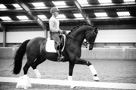Wilco Kats Clinic